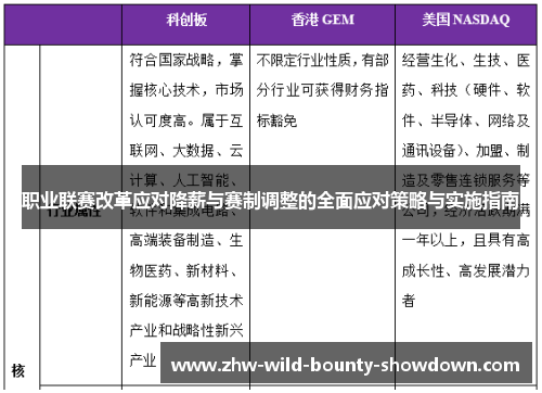 职业联赛改革应对降薪与赛制调整的全面应对策略与实施指南