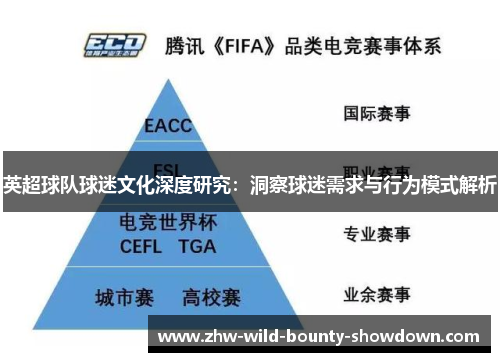 英超球队球迷文化深度研究：洞察球迷需求与行为模式解析
