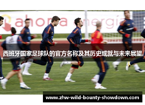 西班牙国家足球队的官方名称及其历史成就与未来展望