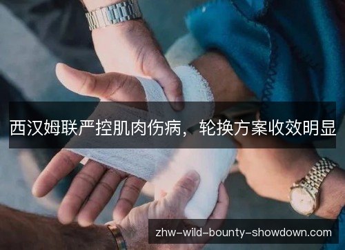 西汉姆联严控肌肉伤病,轮换方案收效明显 西汉姆联严控肌肉伤病,轮换方案收效明显