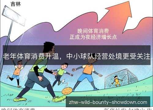 老年体育消费升温,中小球队经营处境更受关注 老年体育消费升温,中小球队经营处境更受关注